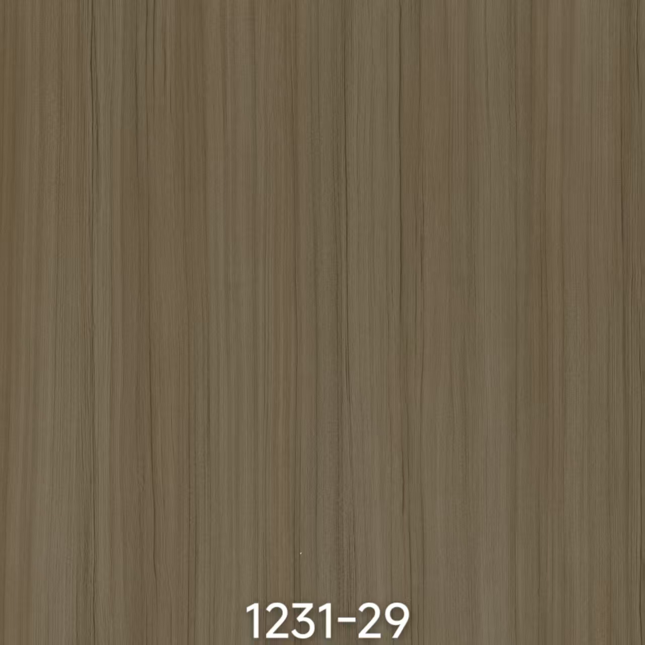 Papel Melamina 1231-29