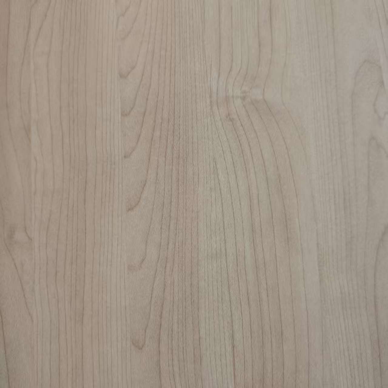 Papel de melamina8031-10